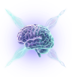 Núcleo cognitivo IQeXponencial