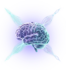 Núcleo cognitivo IQeXponencial